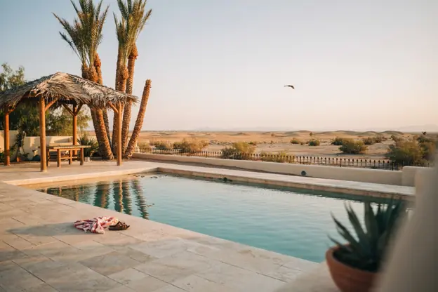 Backyard pool with a palapa shade structure and date palms in Yuma